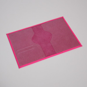 YG Обложка на паспорт Danica 