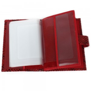 YG-080 Обложка на автодокументы с паспортом Nina Farmina 9320-116